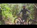 specialized