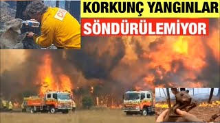 Avustralya’da Haftalardır Söndürülemeyen Korkunç Yangın.23 İnsan 500 Milyon Hayv