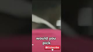 If You Could Be Any Animal What Would You Be?