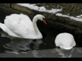 Bruges (Carter Burwell's In Bruges theme)