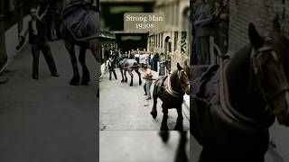 Strongest Man Vs Horse Challenge