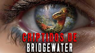 Los Extraños Criptidos De Bridgewater
