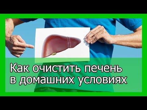 Очисть печень в домашних условиях Очисть печень в домашних условиях