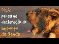 Abrindo uma conta na corretora (Easynvest) #3 Abrindo uma conta na corretora (Easynvest) #2