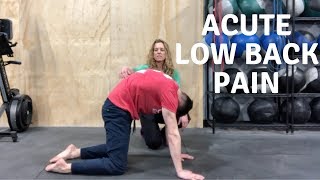 Low Back Pain - Rehab 1