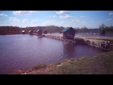 рыбхоз гжелка отчеты о рыбалке рыбхоз гжелка отчеты о рыбалке