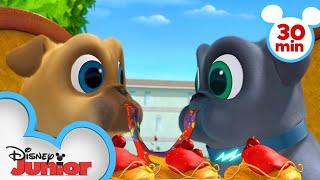 Bingo and Rolly Travel Across Europe! | 30 Minute Compilation | Puppy Dog Pals| 
