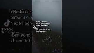Seni Severdim  