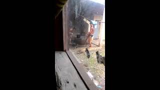 Terciduk bukan muhrim mandi bareng... rantang runtung kaligending Terciduk bukan muhrim mandi bareng... rantang runtung kaligending