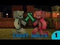 Minecraft Crazy Walls - #Musictime - Episode 1