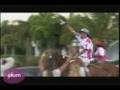 Foto pequena Adolfo Cambiaso: Polo Superstar