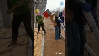 The Process Of Filling Sandbags For Help To Against Desertification