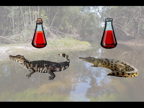 удочка в дугу удочка на дугу