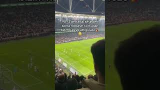 Fenerbahçe Kartal Sesi Duyunca Korktu Fotoğraf Çektik