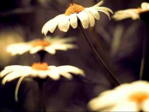 Raag Miyan Ki Malhar Ustad Abdul Latif Khan Sarangi
