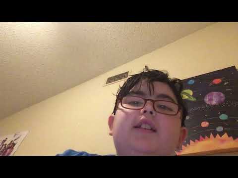 S.1 E.2: the electron (subatomic particle/lepton/weak nuclear force)