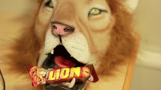 Never Say No To Lion Panda Cheese Parody