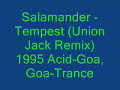 Salamander - Tempest (Union Jack Remix) CLASSIC ACID TRANCE 1995