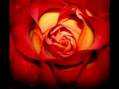 GHUM SHUM BY SATTI.wmv