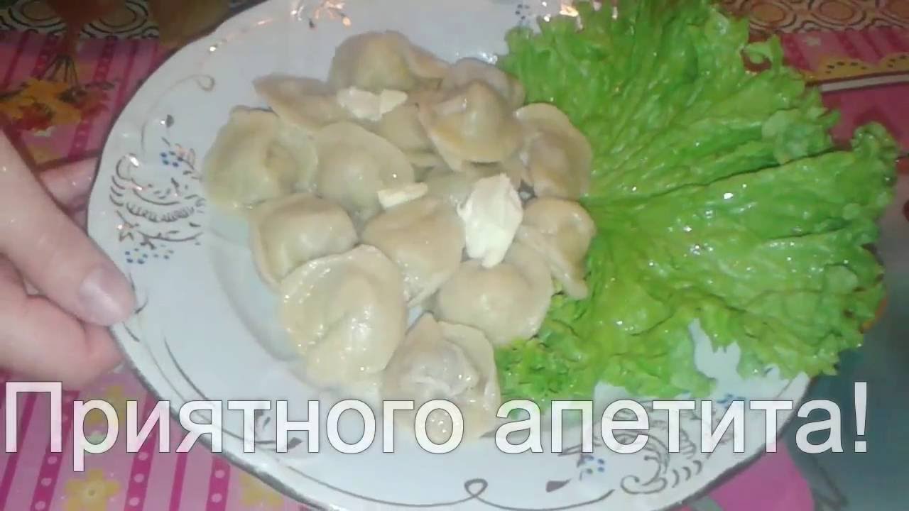 Ежевика когда сажать весной Ежевика когда сажать весной