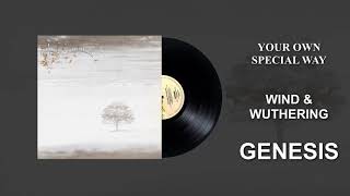 Watch Genesis Your Own Special Way video