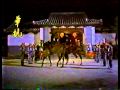 『少林弟子（1986）TVシリーズ』の動画　OST