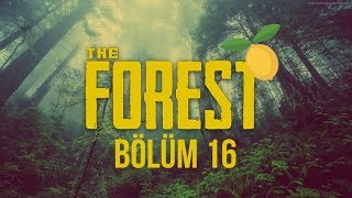 Elraenn İle The Forest Wli̇mon Tayfa