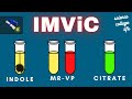 IMViC Test | Indole MR-VP Citrate | Microbiology Lab