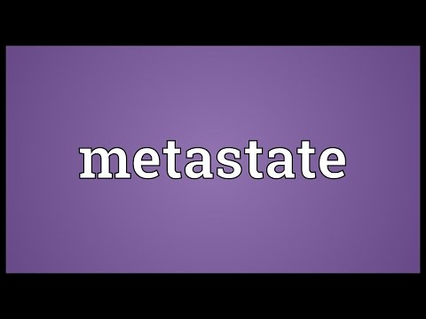 Header of Metastate
