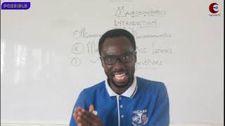 Lesson 1 Macroeconomics Definition, Issues And Objectives
