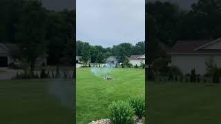 Flying Bug Fireworks