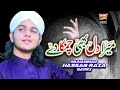 Muhammad Hassan Raza Qadri | New Naat 2022 | Mera Dil Bhi Chamka De | Official Video | Heera Gold
