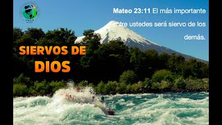 28/05/20 - Los Maestros