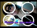 Celine Dion i'm alive (tradução)
