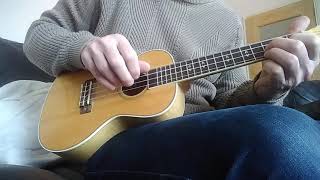 Foogy Mountain Breakdown. Ukulele Cover.