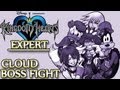 Kingdom Hearts - Cloud (1st) Boss Battle, Olympus Coliseum (Expert, +Shield -Staff)