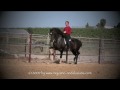 Majestic Andalusians presents: In Memory...RESUELTO IX (2002-2011)