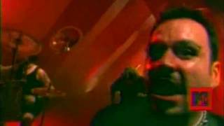 Watch Animal Gritemos Para No Olvidar video