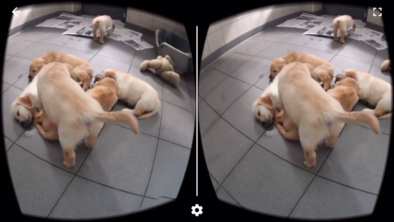 Virtual reality doggy