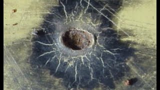 Impactor Cycle | Advanced Catastrophism