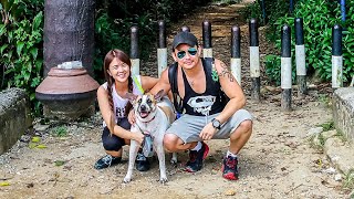 Maple-Fei Poh Goes Hiking Bukit Gasing Adventure With My Dog