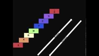 Vocal warm ups- Part 1 by SaReGa Music Academy - Shuddha Swar Alankar practice Vocal warm ups- Part 1 by SaReGa Music Academy - Shuddha Swar Alankar practice