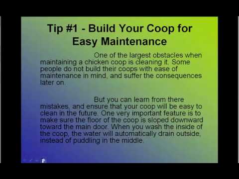  chicken coop and designing coop plan for chicken.avi - YouTube