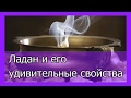 Ладан зажечь ладан в домашних условиях Ладан зажечь ладан в домашних условиях