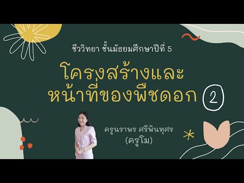 โครงสร้างและหน้าที่ของพืชดอก 2 (โครงสร้างและหน้าที่ของราก ลำต้น และใบ) | ชีววิทยา ม.5