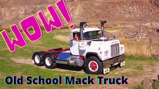 Roche R-Model Mack