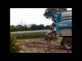 ensilage