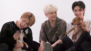 Stray Kids Play: The Puppy Interview