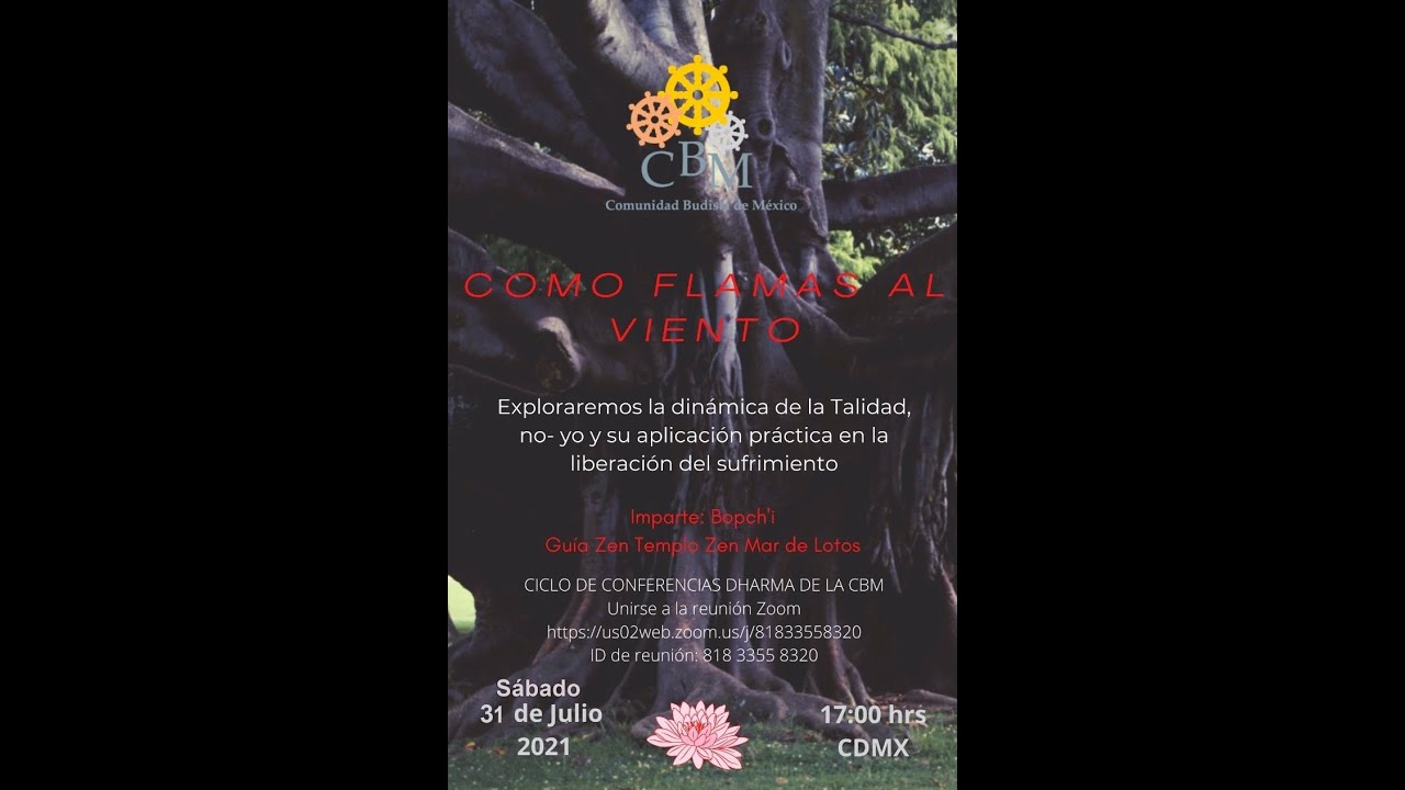 Videoteca
