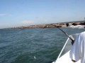 Fighting Bull Red's / Port O'Connor, TX with Veteran Saltwater Guide Keith Gregory